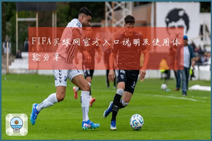 FIFA买球网官方入口说明及使用体验分享