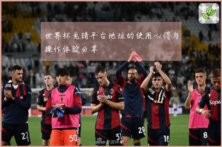 世界杯竞猜平台地址的使用心得与操作体验分享