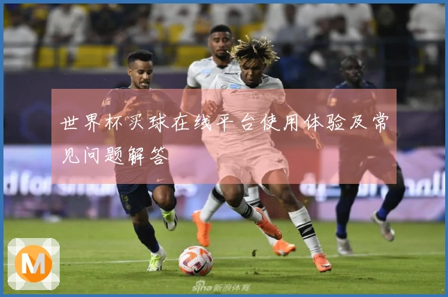 世界杯买球在线平台使用体验及常见问题解答