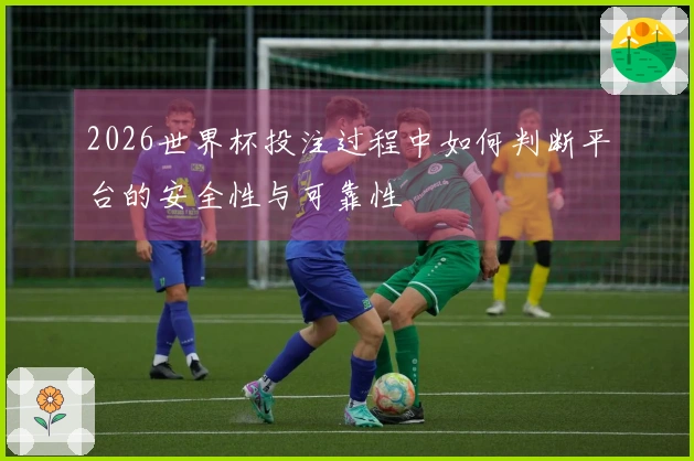 2026世界杯投注过程中如何判断平台的安全性与可靠性