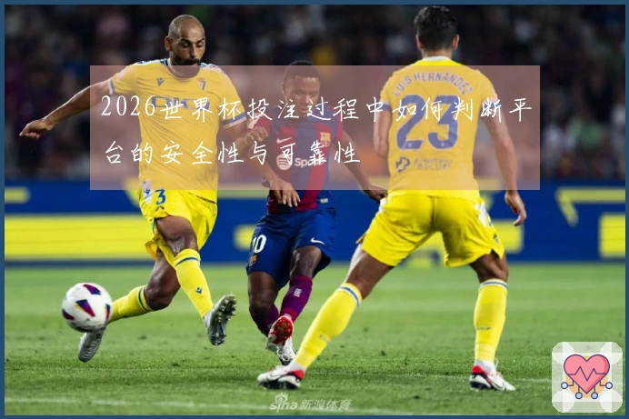 2026世界杯投注过程中如何判断平台的安全性与可靠性